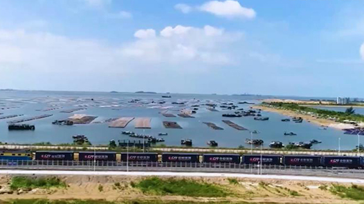 中国式现代化这样推进，与世界共享机遇