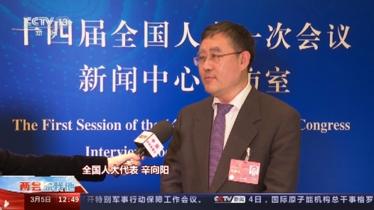 全国人大代表辛向阳：中国式现代化的中国特色