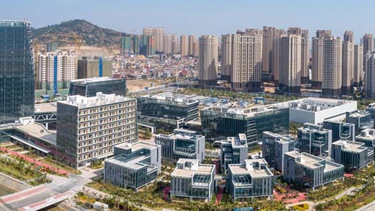 播下春天的第一粒种子