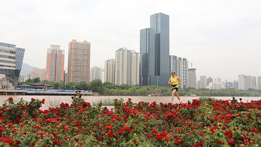 在高质量发展中阔步前行