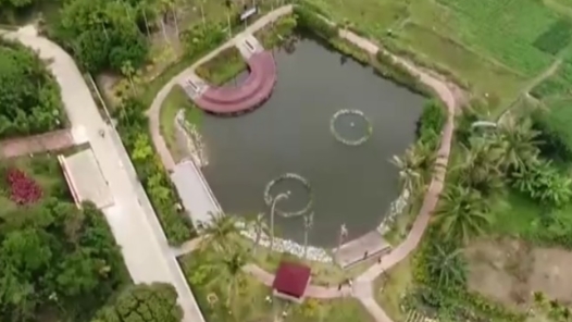 我从基层来丨全国政协委员黄丽萍：扎根农村 助力乡村振兴