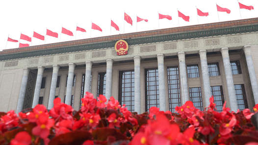 中共中央、全国人大常委会领导同志分别参加十四届全国人大一次会议代表团分组审议