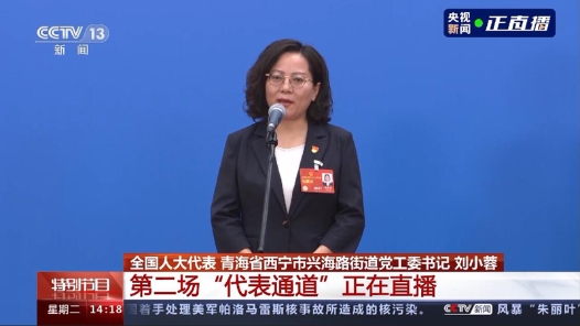 代表通道丨刘小蓉：脚下沾有多少泥土 心中就沉淀多少真情