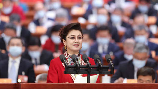 迪丽娜尔·阿布拉委员：让中华文化浸润人心