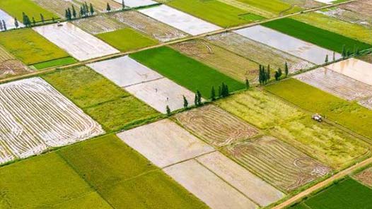 激活人才“双向流动”的力量