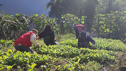 西藏墨脱县各基层工会开展学雷锋志愿服务活动