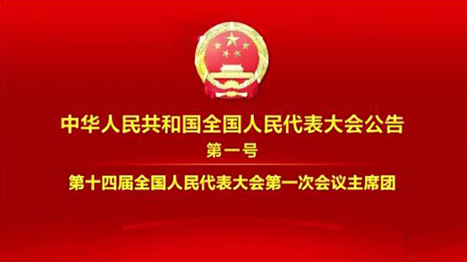 视频｜中华人民共和国全国人民代表大会公告