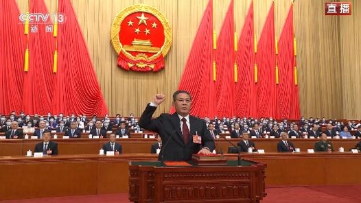 视频丨国务院总理李强进行宪法宣誓