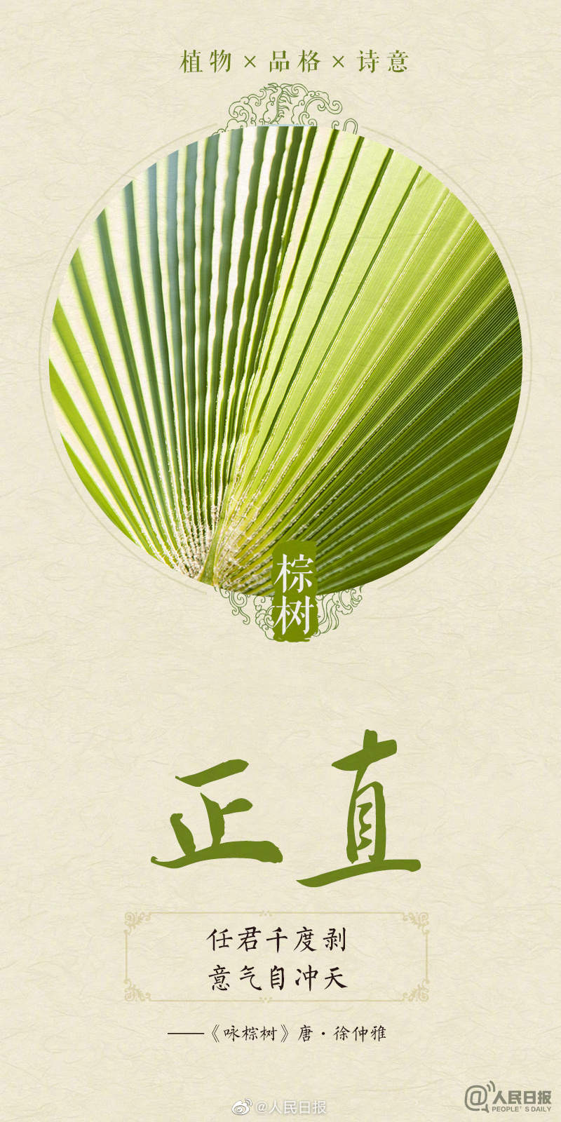 非凡的品格 1208565_4096x10000.jpeg