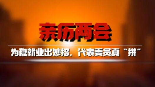 亲历·两会｜为稳就业出妙招，代表委员真“拼”