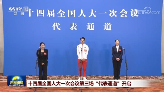 带你回顾“代表通道”上的“好声音”