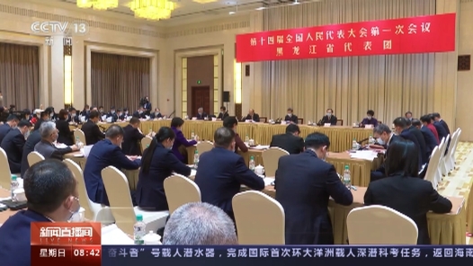 两会同期声 | 加大软件人才引进 创新构建新型制造模式