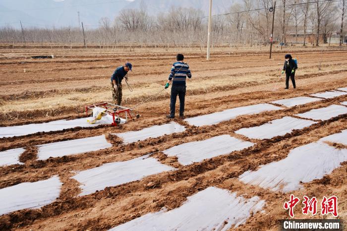 青海一季度农牧业生产实现良好开局
