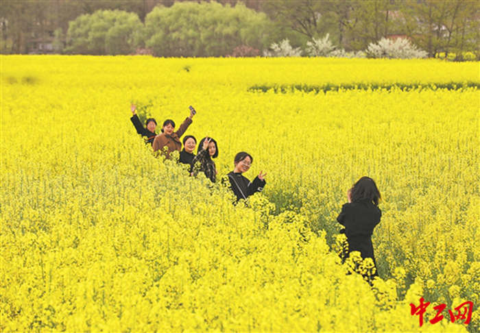 1998860_tpzz_1679642381724_b