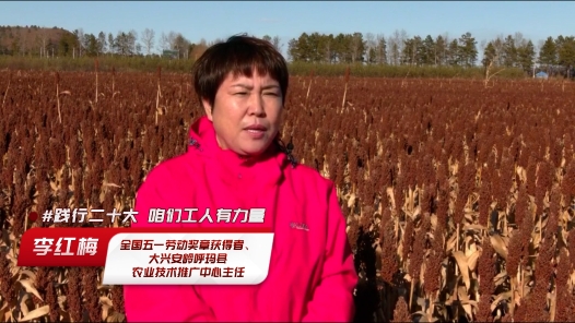 劳模说｜李红梅：让更多人吃上优质可口放心的农产品