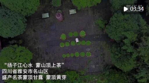 QQ截图20230327165105