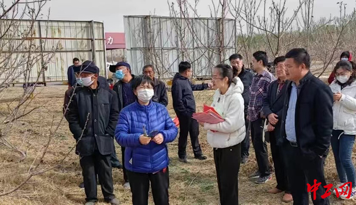 日前，商河县劳模服务队奔赴在田间地头，帮助农户解决果树春季管护技术难题。商河县总工会供图