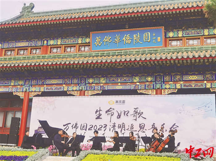 2016164_tpzz_1680851220557_b