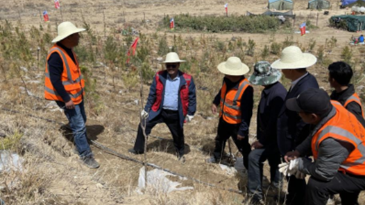 携手共种同心树，厚植民族团结情