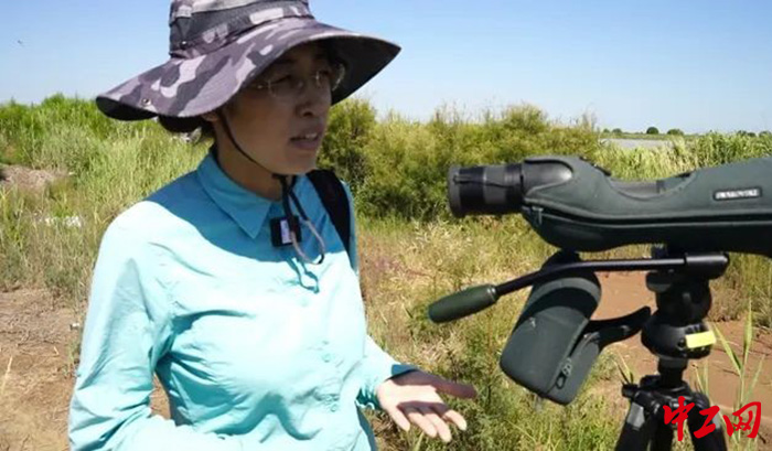 日前,赵亚杰在野外观测鸟儿动态。东营市总工会供图 日前,赵亚杰在野外观测鸟儿动态。东营市总工会供图