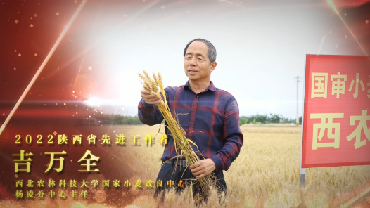 劳模故事·陕西劳模丨吉万全：学农、爱农、为农的农民儿子