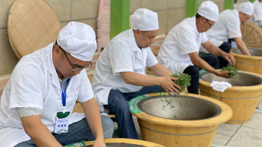 贵州省第一届“朵贝贡茶杯”手工制茶、古树茶加工技能大赛开赛