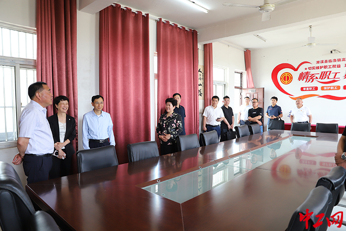 6月1日，安徽省总工会一级巡视员阮怀楼率调研组一行赴濉溪县临涣镇高皇村调研。张伟杰摄(1)