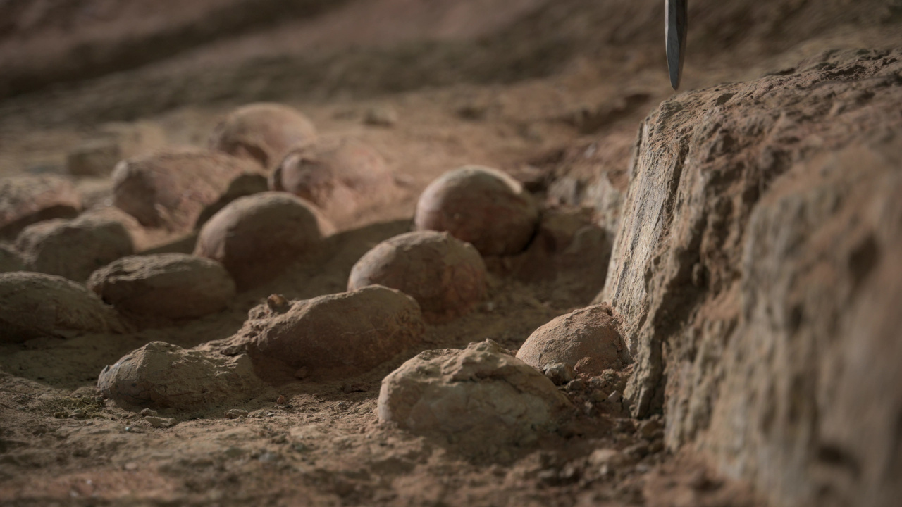 湖北十堰青龙山恐龙蛋化石入列中国美丽化石