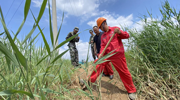 2023·劳动创造幸福｜行走的“摄像头”