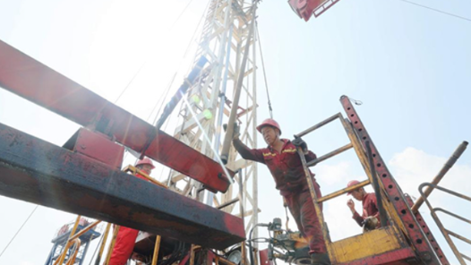 2023·劳动创造幸福｜入伏时节生产忙