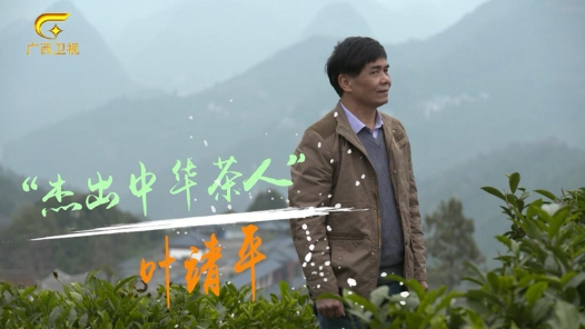 匠人匠心·2020年广西工匠丨叶靖平：“一茶六制”的杰出中华茶人