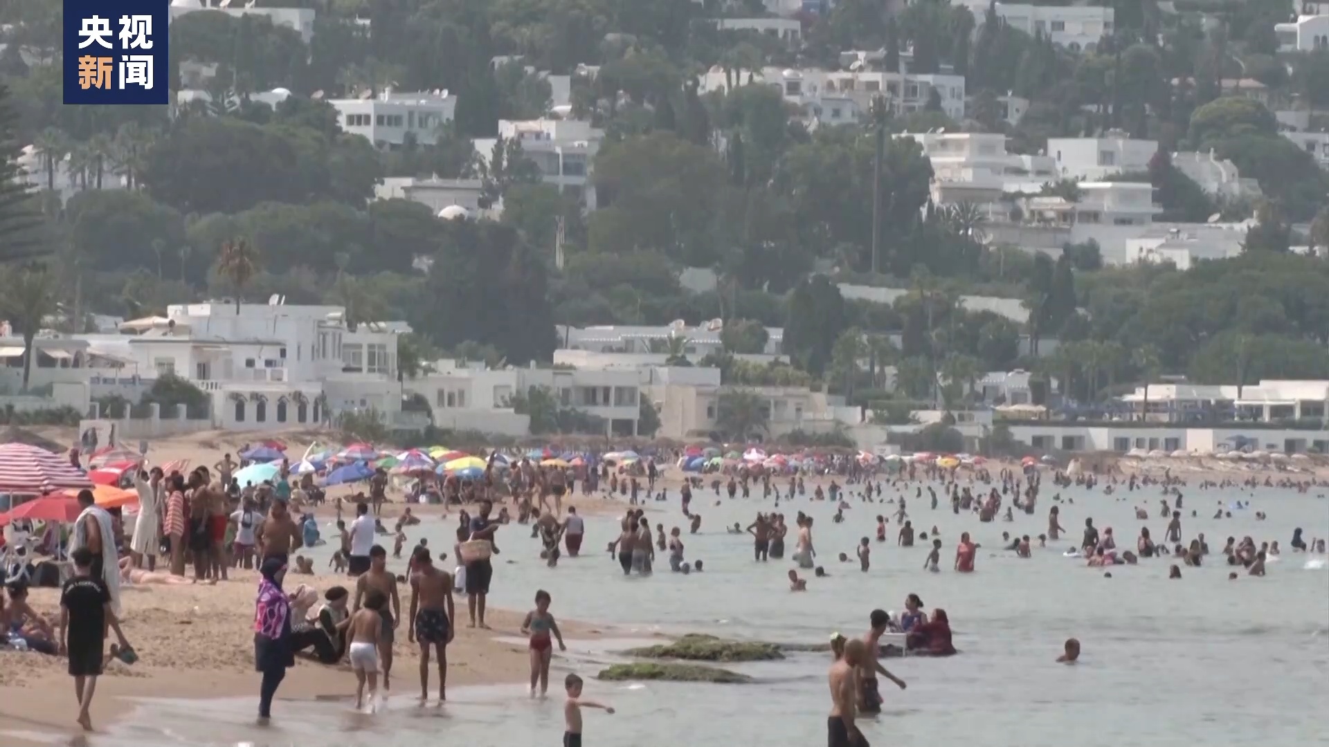 加勒比海扬升丨一场被遗忘的地质奇迹