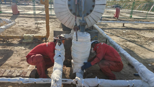 2023·劳动创造幸福｜顶着烈日忙“穿袄”