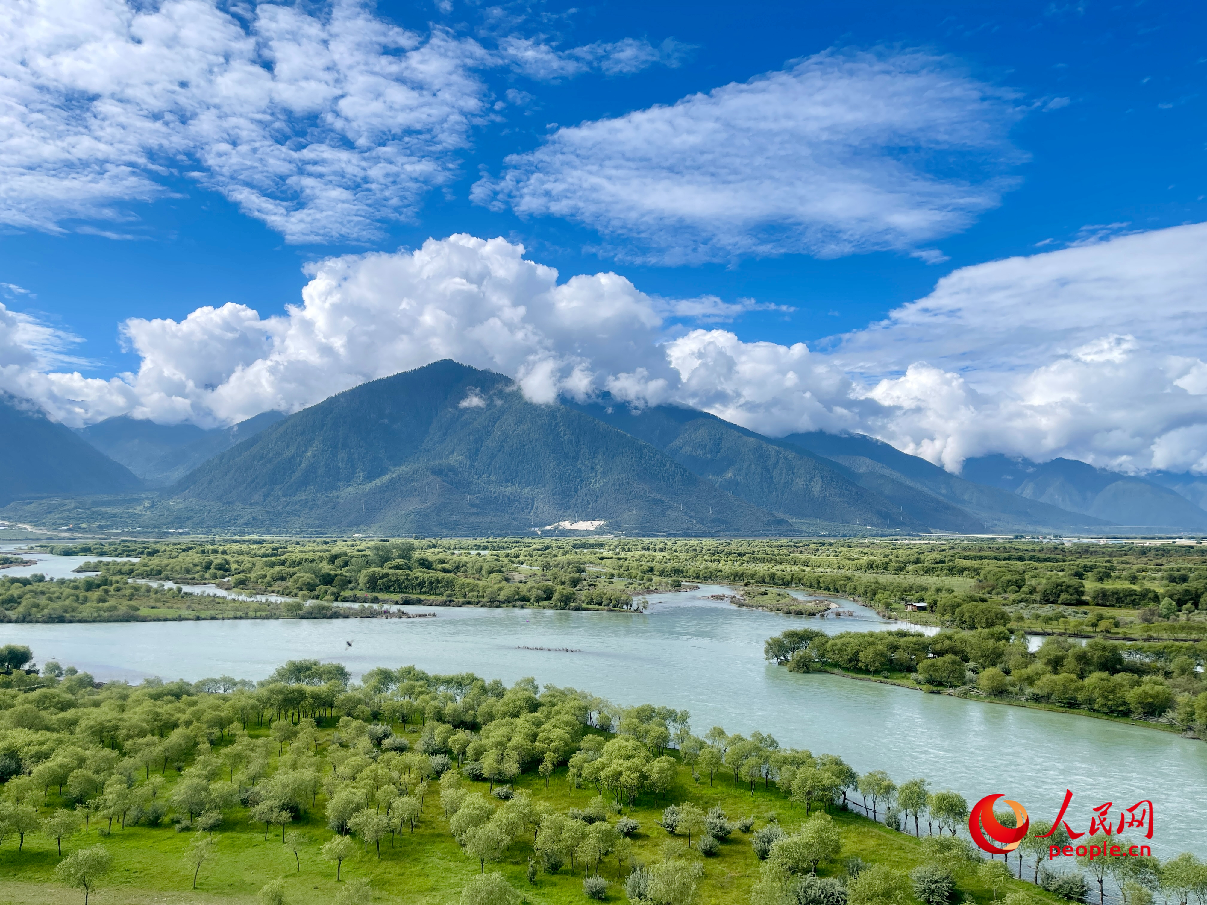 夏季的雅尼国度湿地公园春风欣喜，绝色佳人。东说念主民网 周静圆摄