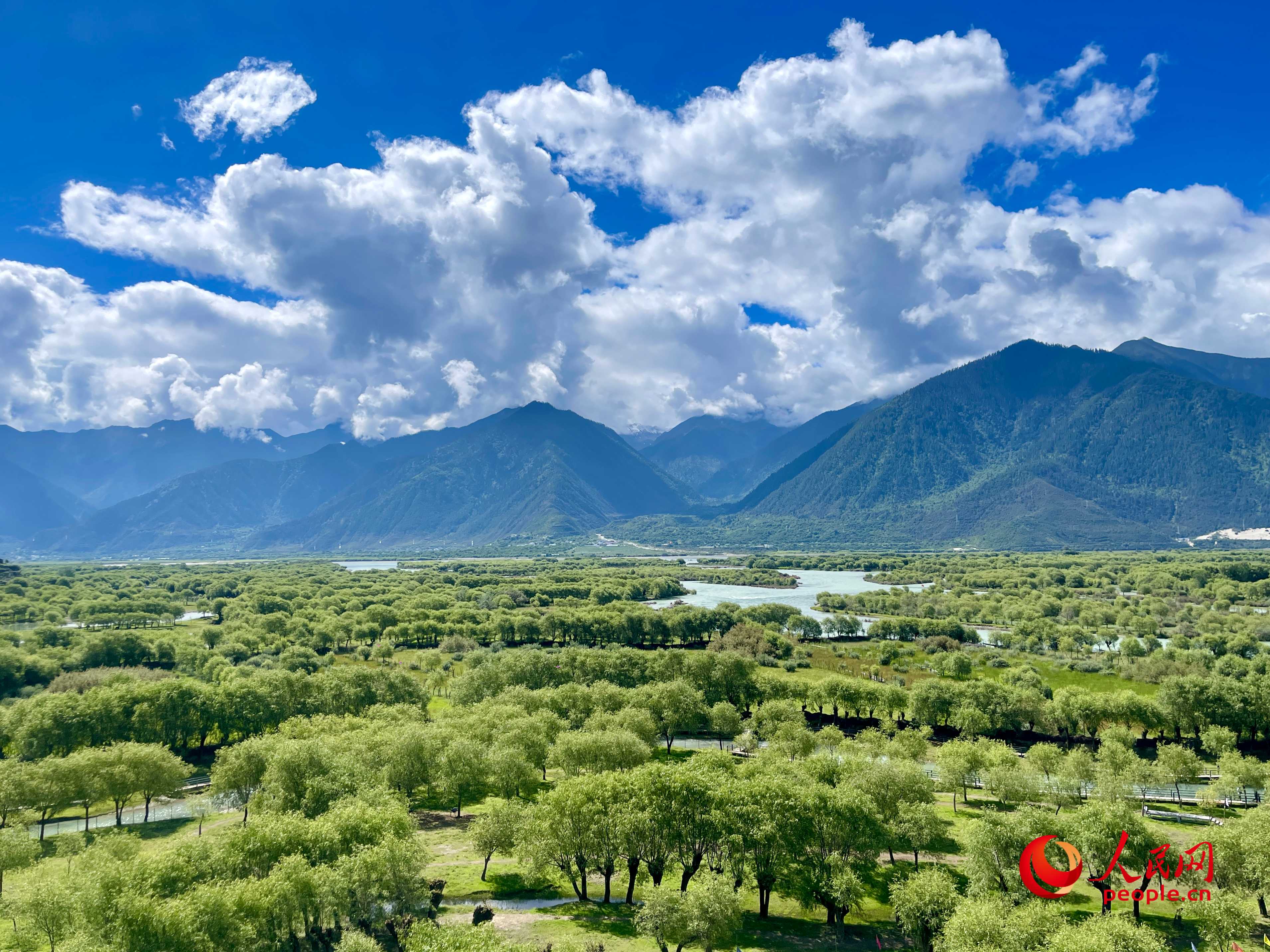 夏季的雅尼国度湿地公园春风容许，竹苞松茂。东说念主民网 周静圆摄