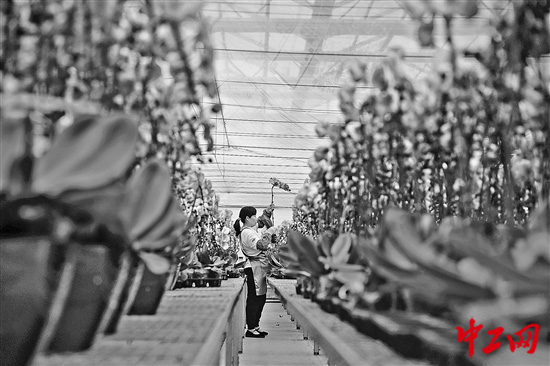 2153096_tpzz_1690784482886_b副本 2153096_tpzz_1690784482886_b副本