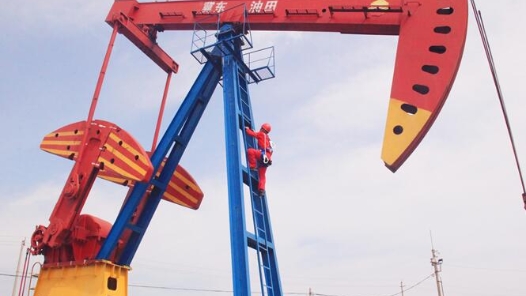 2023·劳动创造幸福｜8米高空，守护“油孩子”健康