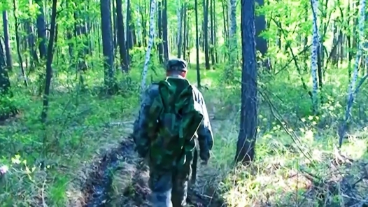 身边榜样丨火山口上的瞭望员：我用深情守望这片大森林的平安