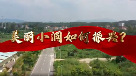 身边榜样丨黄国辉：振兴生态小洞 建设美丽乡村