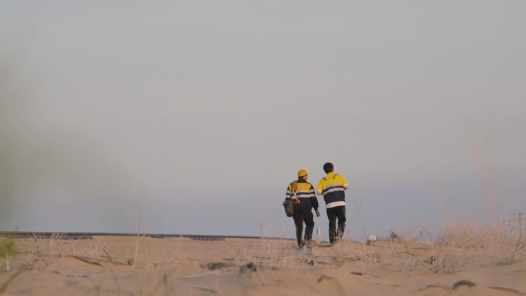 身边榜样丨大漠冬青