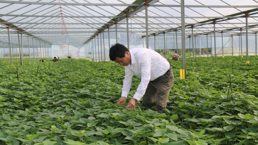 身边榜样丨劳模“微宣讲”视频——钟俊杰