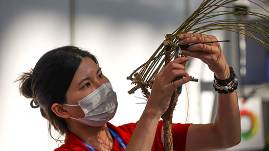 专注、认真、分秒必争！第二届全国技能大赛现场集锦