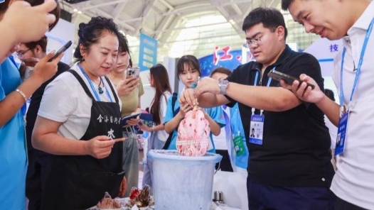 技能大赛上观众现场感受技术魅力 内行外行都“过瘾”