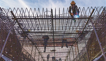 2023·劳动创造幸福｜盛夏的馈赠