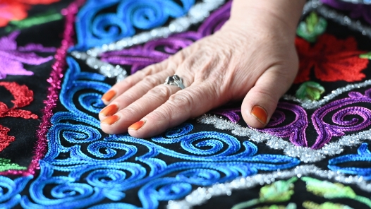 用技能展示魅力新疆——第二届全国技能大赛新疆展演侧记