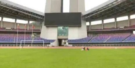 哪些项目将成中国队“金牌大户”？