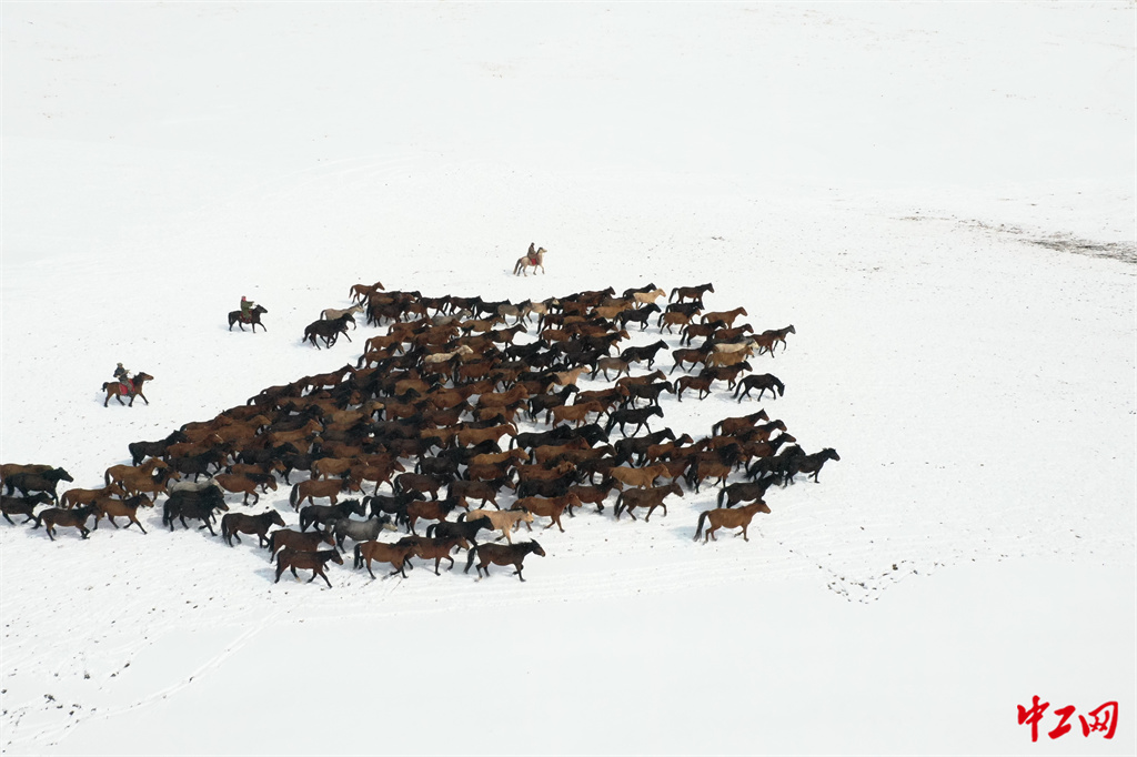 25-2《新时代牧马人》山丹马场一场 王超