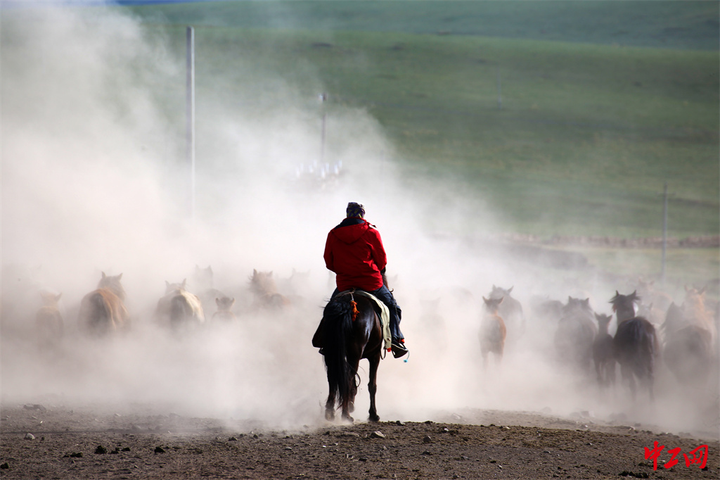 25-3《新时代牧马人》山丹马场一场 王超
