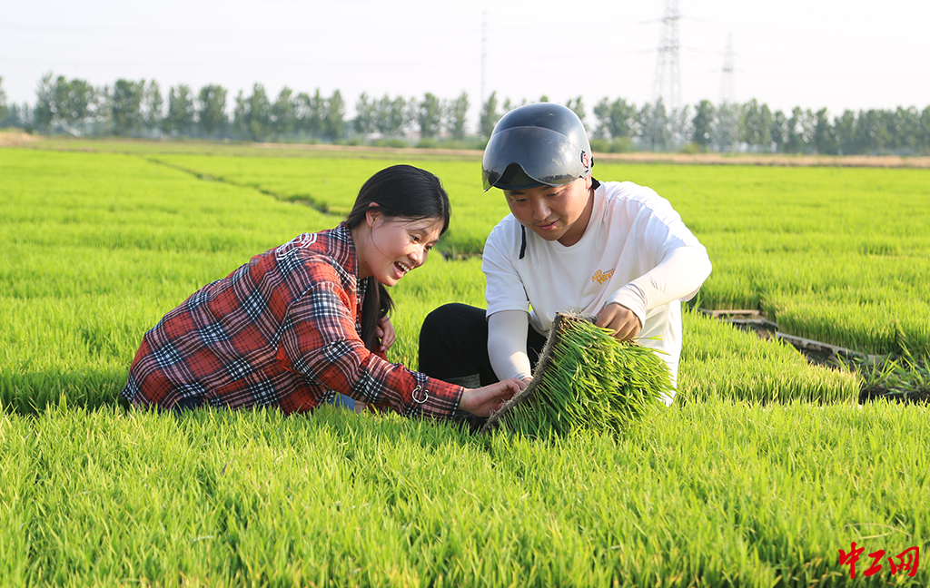 151-《新征程上的新农人》江苏农垦 徐卫