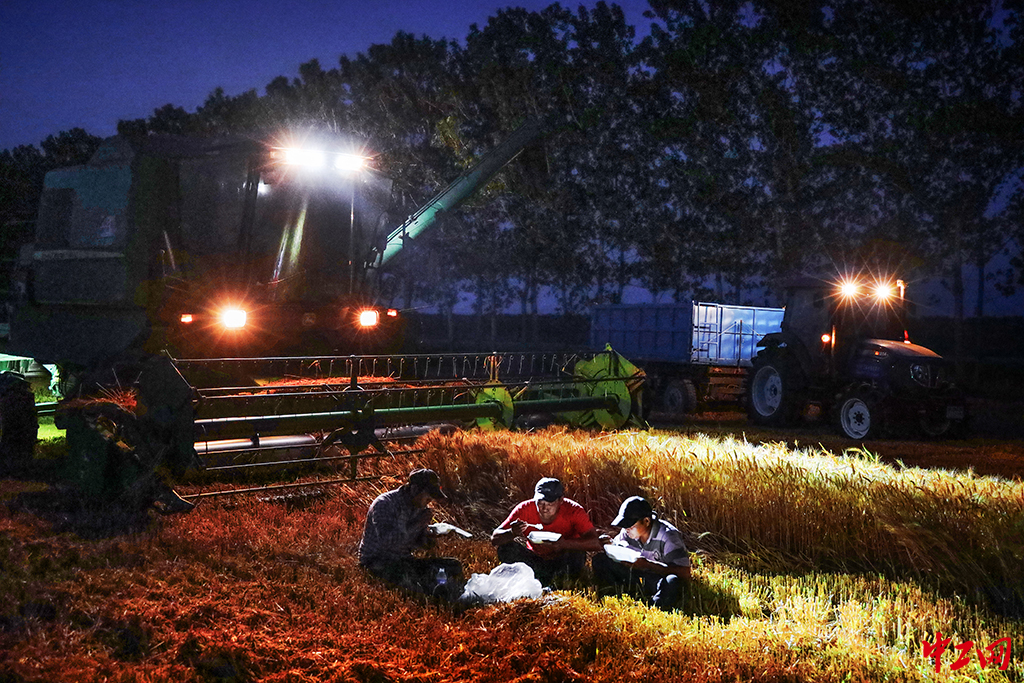 148-《分秒必争》江苏农垦 庞建兵